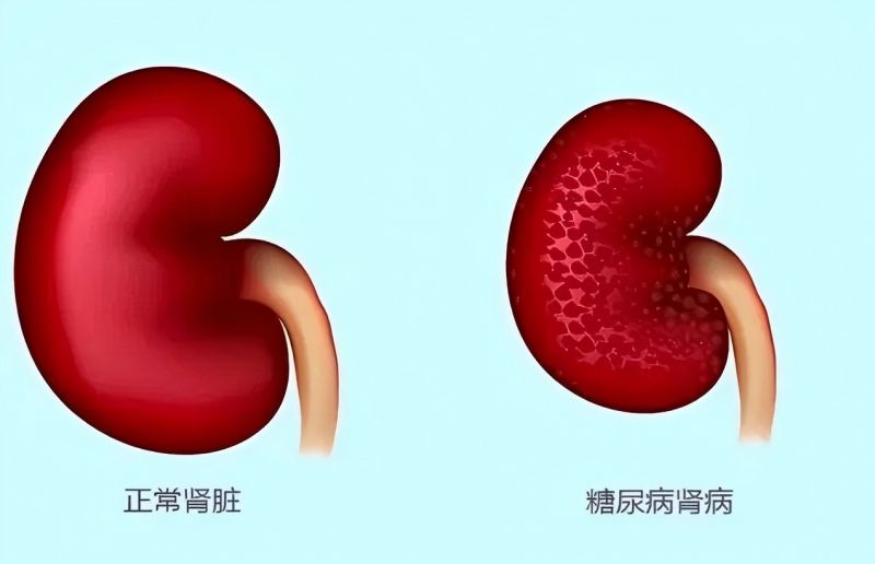 ����Ͼź�ҽԺ�����򲡵ġ�ʮ�������������С���ڰ�ʮ����